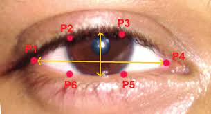 Eye Fatigue Analysis Detection